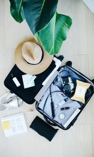 marissa-grootes-TVllFyGaLEA-unsplash